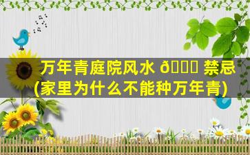 万年青庭院风水 🐕 禁忌(家里为什么不能种万年青)